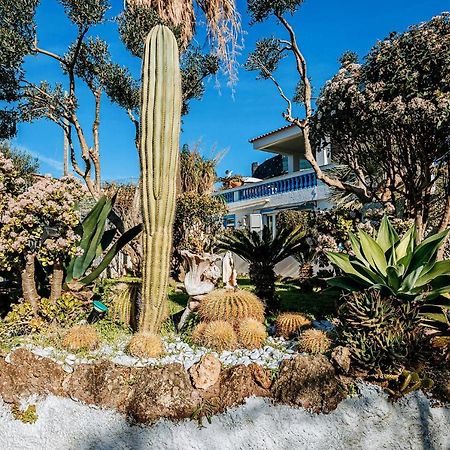 Appartamenti Ischia Casa Don Peppe Forio di Ischia Esterno foto