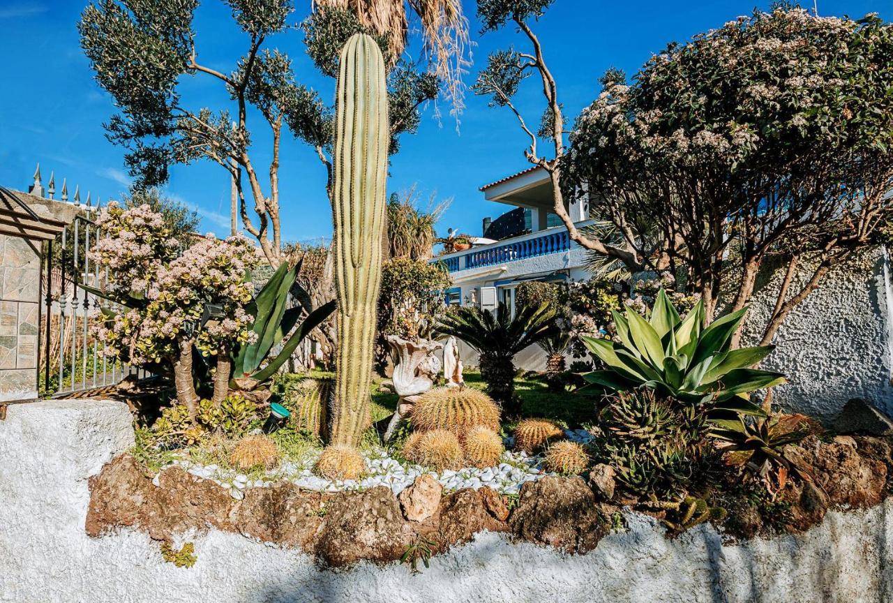 Appartamenti Ischia Casa Don Peppe Forio di Ischia Esterno foto